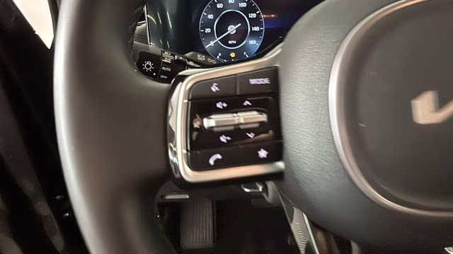 2024 Panthera Metal Kia Carnival SX FWD Van