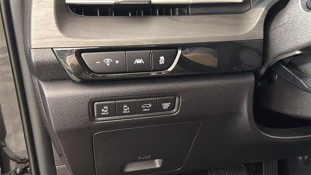 2024 Panthera Metal Kia Carnival SX FWD Van