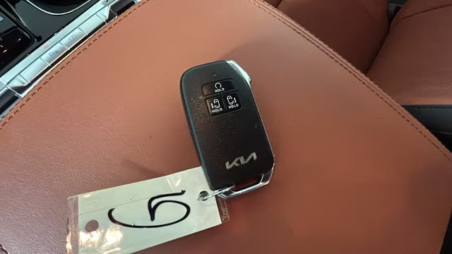2024 Panthera Metal Kia Carnival SX FWD Van
