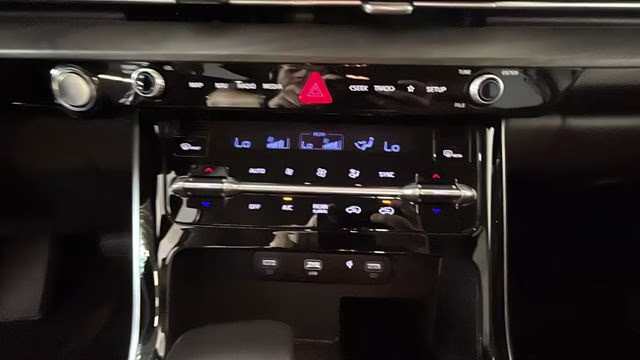 2024 Panthera Metal Kia Carnival SX FWD Van