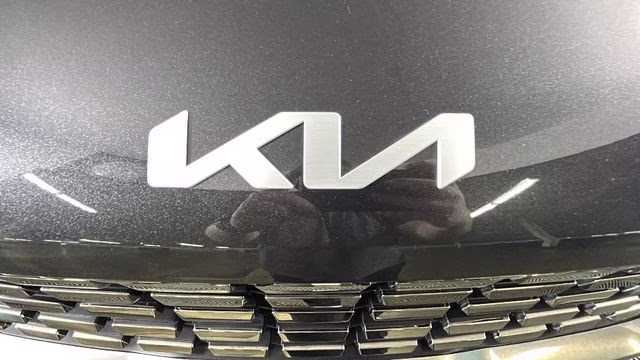 2024 Panthera Metal Kia Carnival SX FWD Van