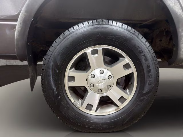 2005 Gray Ford F-150 XLT 4X4 Truck