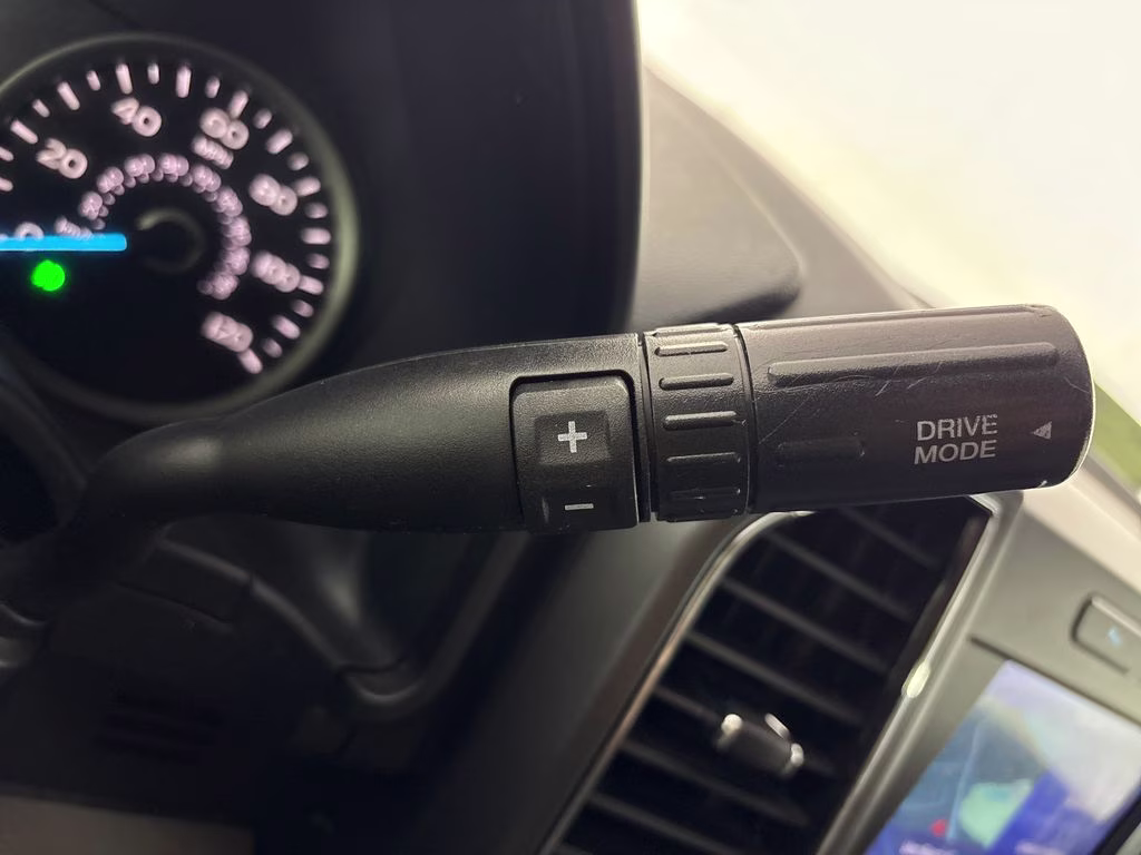 2020 Blue Ford F-150 XLT RWD Truck