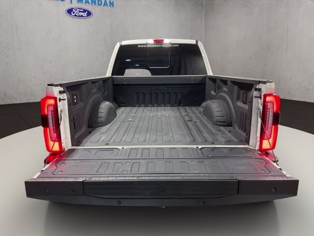 2023 Star White Metallic Tri-Coat Ford Super Duty F-350 SRW Platinum 4X4 Truck