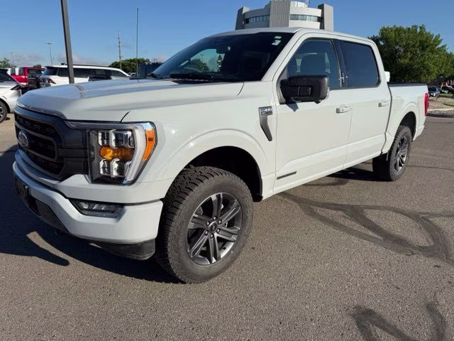 2023 Avalanche Gray Ford F-150 XLT 4X4 Truck