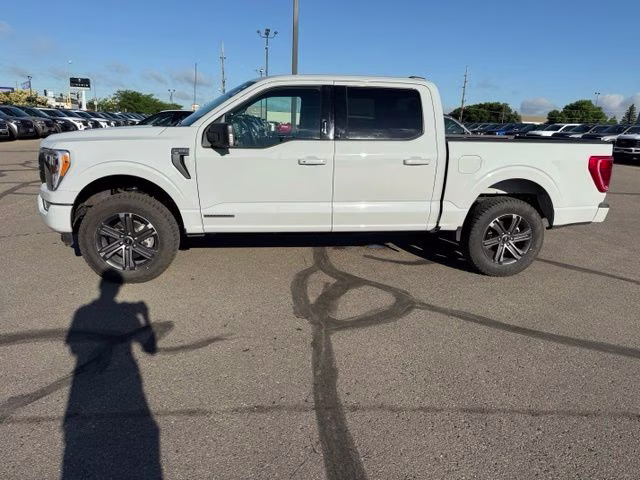 2023 Avalanche Gray Ford F-150 XLT 4X4 Truck