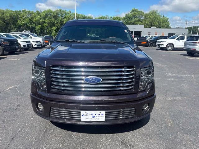Used 2010 Ford F-150 Harley-Davidson with VIN 1FTFW1EV7AFD11667 for sale in Waite Park, Minnesota
