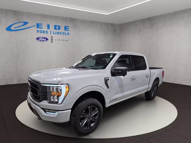 2023 Avalanche Gray Ford F-150 XLT 4X4 Truck