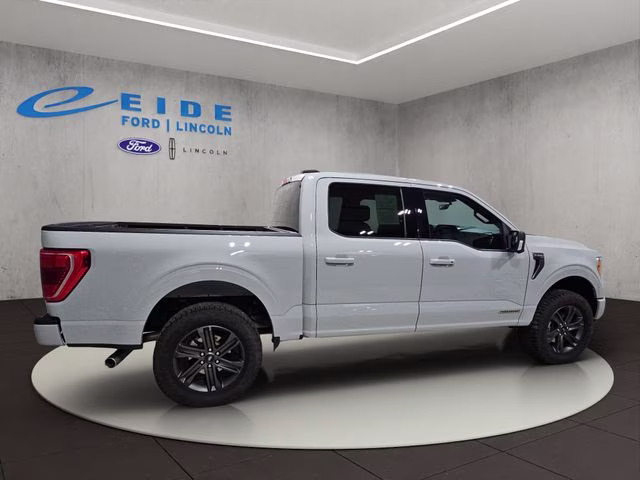 2023 Avalanche Gray Ford F-150 XLT 4X4 Truck