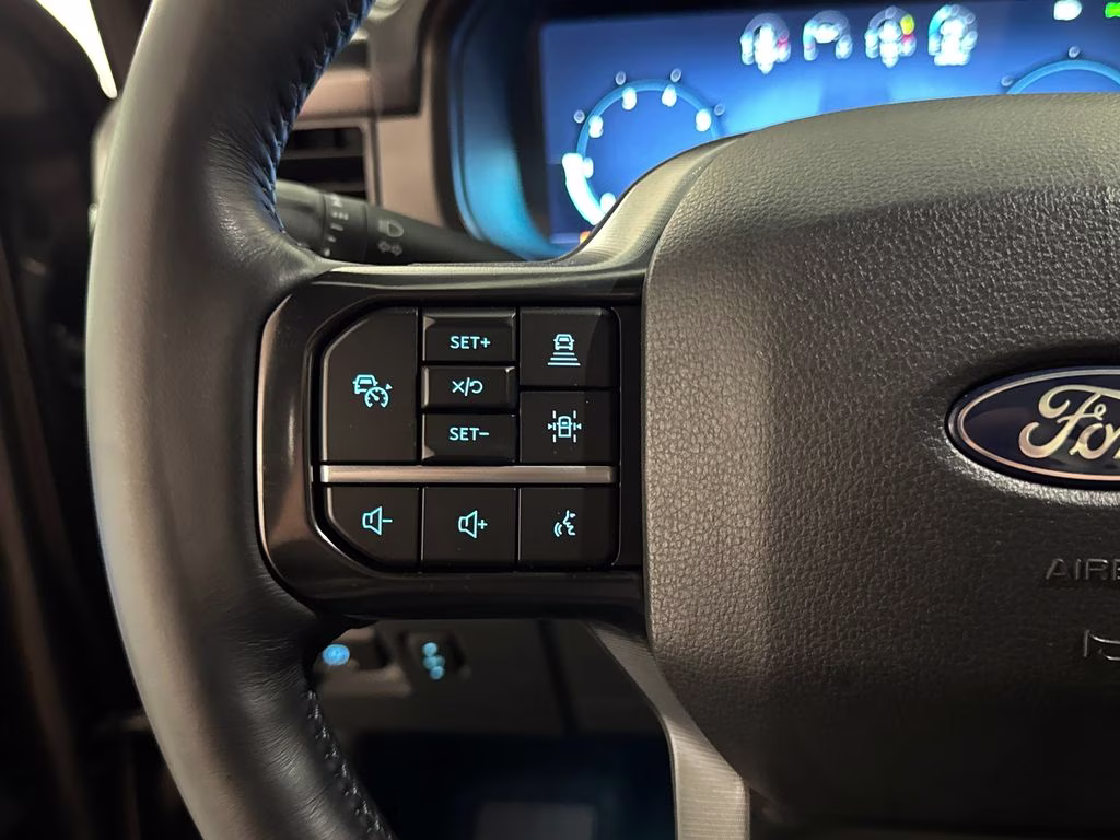 2025 Carbonized Gray Metallic Ford F-150 Platinum 4X4 Truck