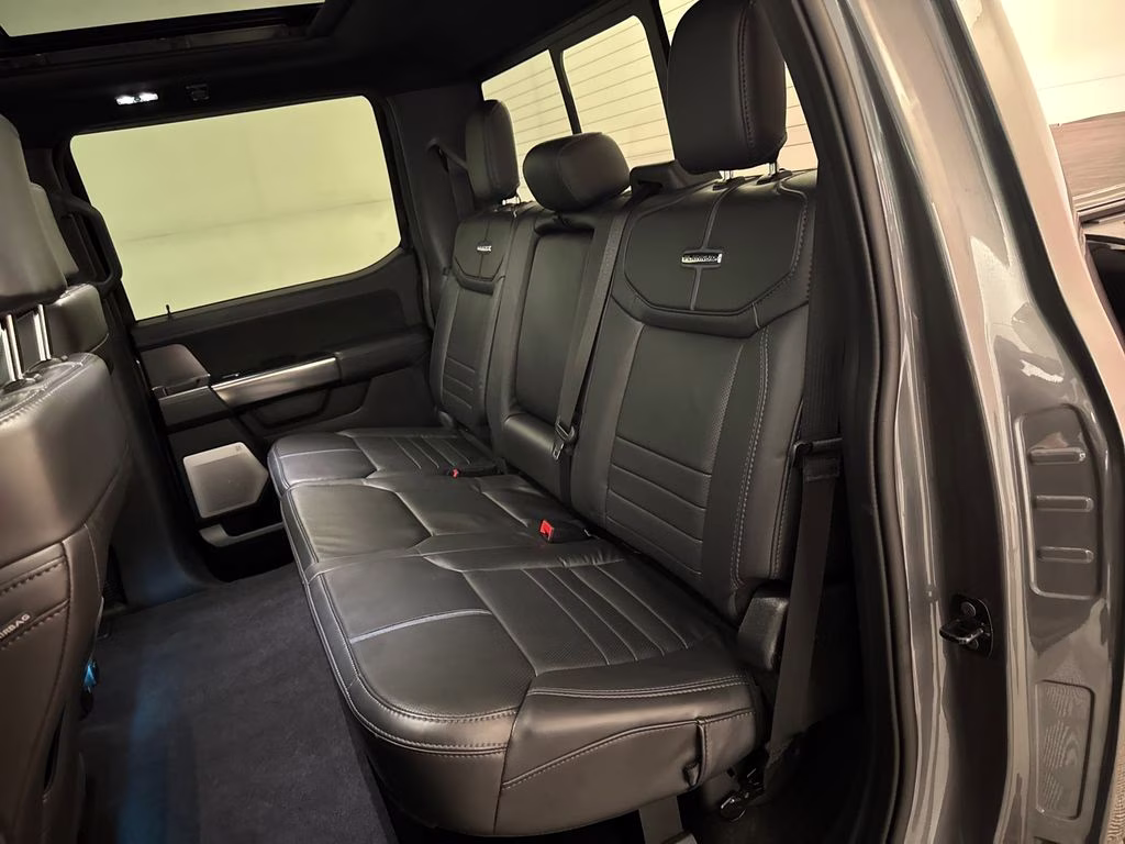 2025 Carbonized Gray Metallic Ford F-150 Platinum 4X4 Truck