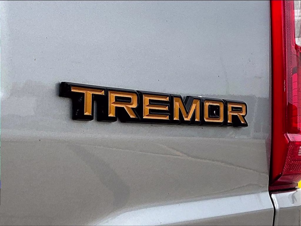 2023 Iconic Silver Metallic Ford F-150 Tremor 4X4 Truck