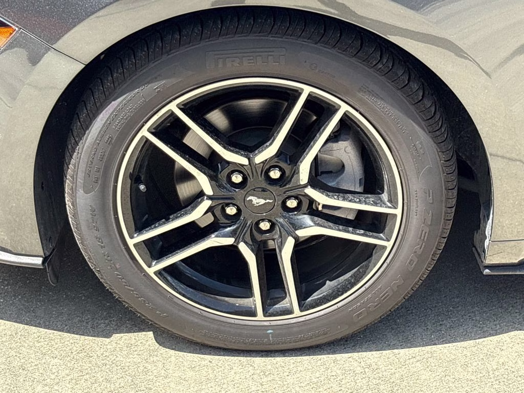 2019 Magnetic Ford Mustang EcoBoost Premium RWD Convertible