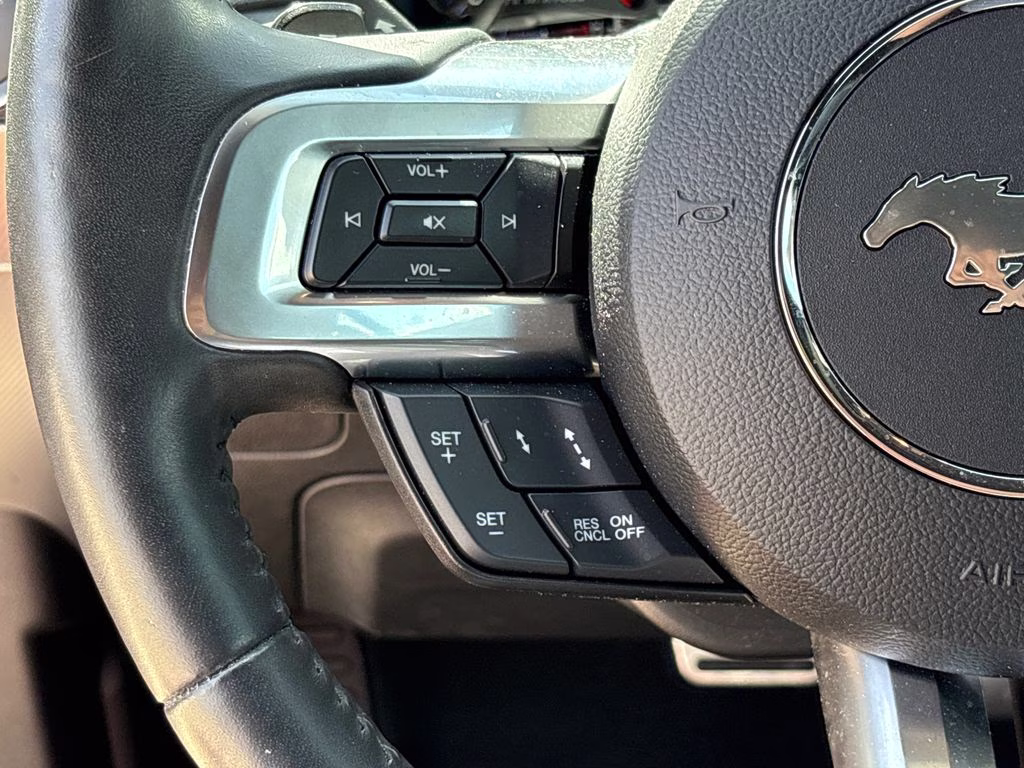 2019 Magnetic Ford Mustang EcoBoost Premium RWD Convertible