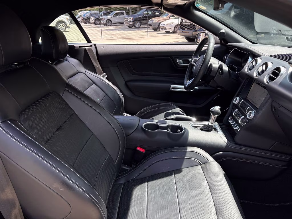 2019 Magnetic Ford Mustang EcoBoost Premium RWD Convertible