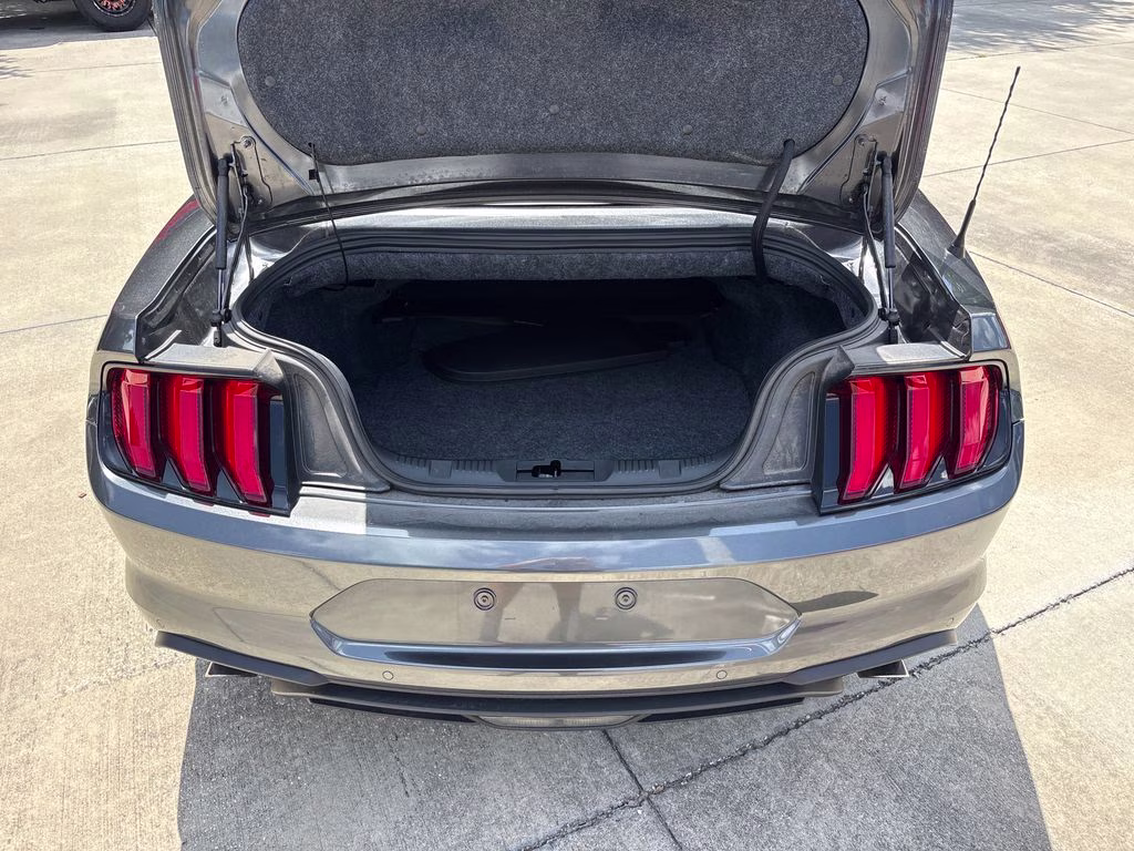 2019 Magnetic Ford Mustang EcoBoost Premium RWD Convertible