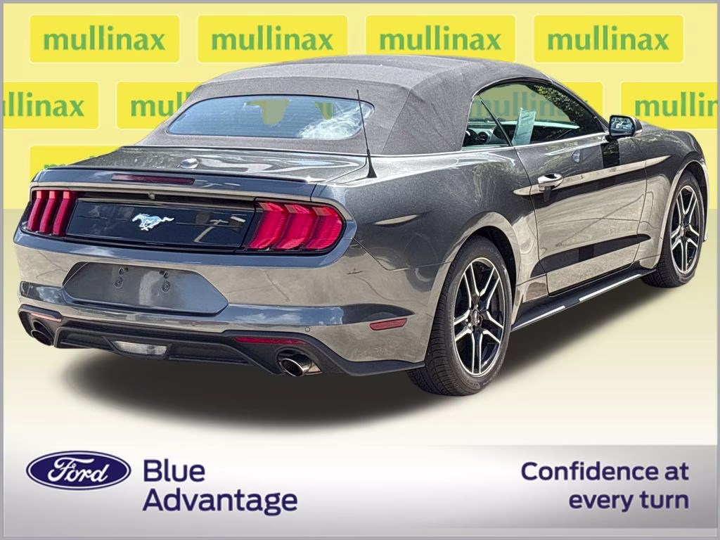2019 Magnetic Ford Mustang EcoBoost Premium RWD Convertible
