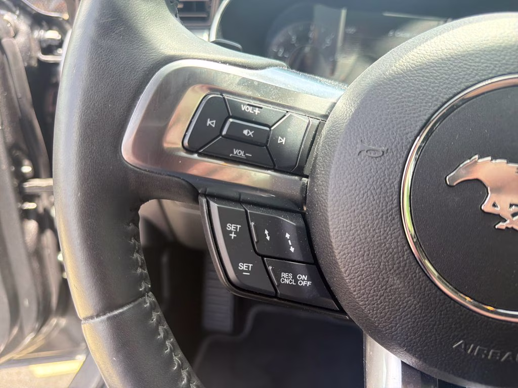 2019 Magnetic Ford Mustang EcoBoost Premium RWD Convertible