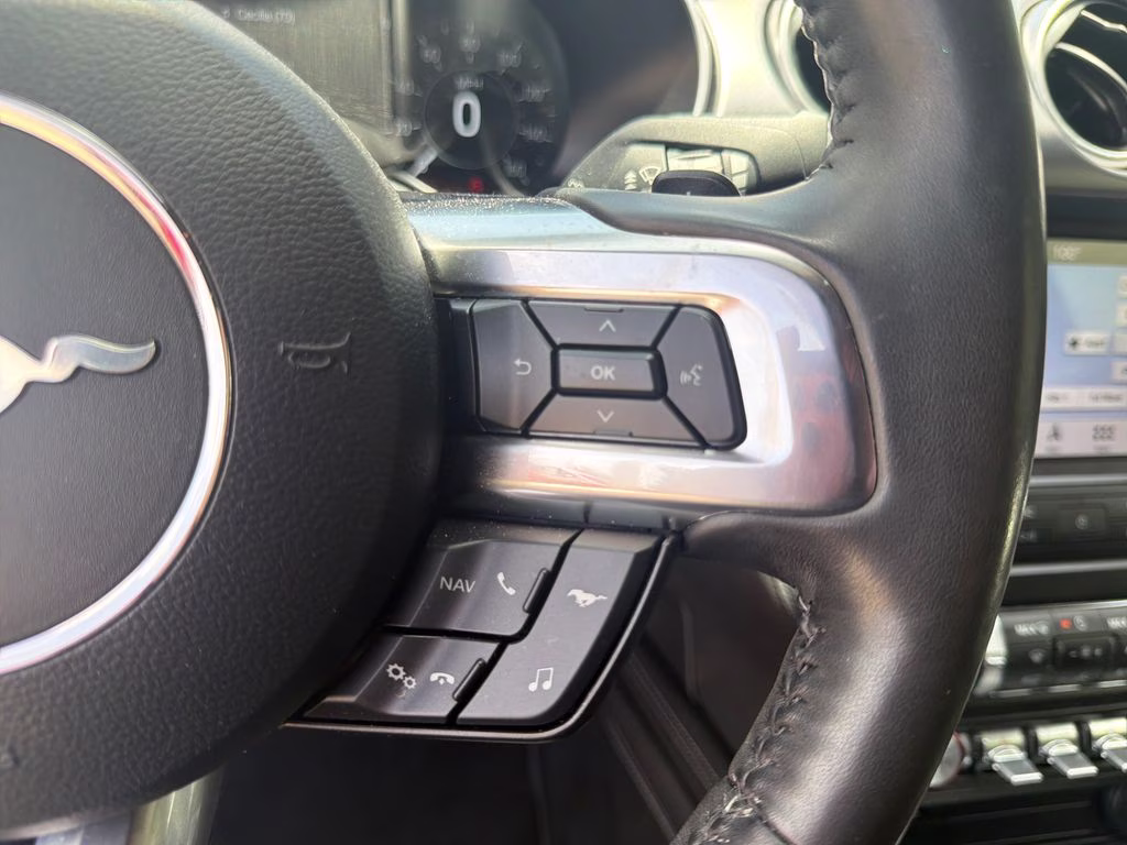 2019 Magnetic Ford Mustang EcoBoost Premium RWD Convertible