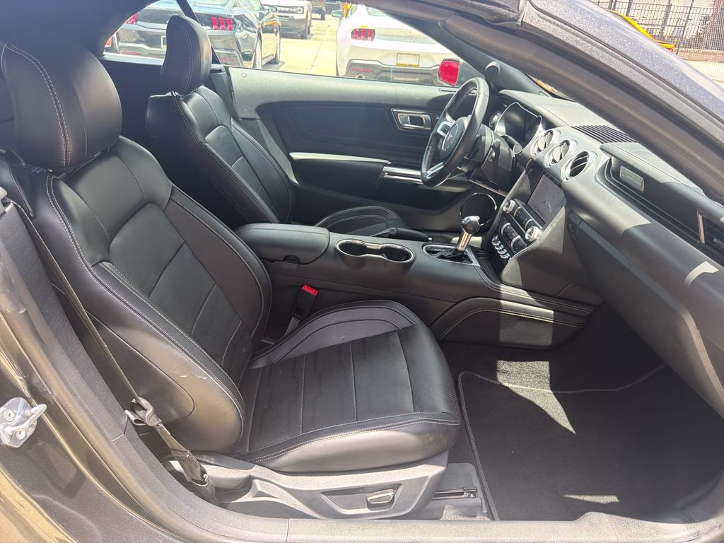 2019 Magnetic Ford Mustang EcoBoost Premium RWD Convertible