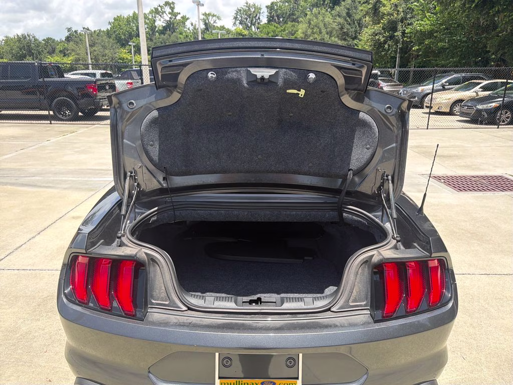 2019 Magnetic Ford Mustang EcoBoost Premium RWD Convertible