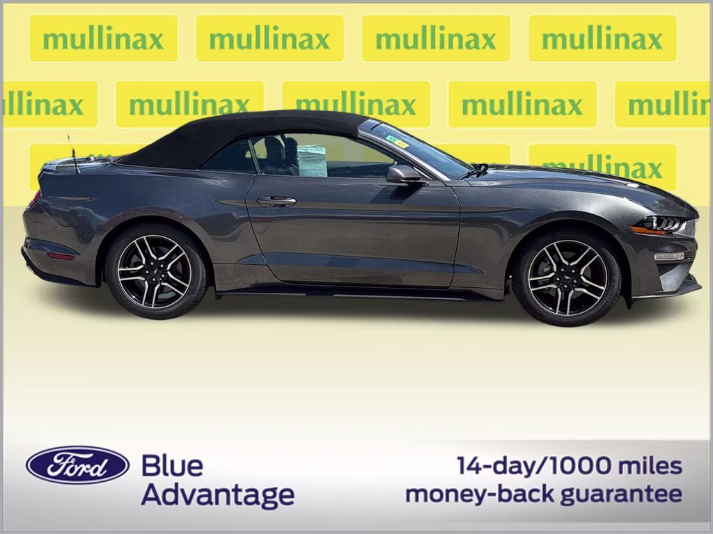 2019 Magnetic Ford Mustang EcoBoost Premium RWD Convertible