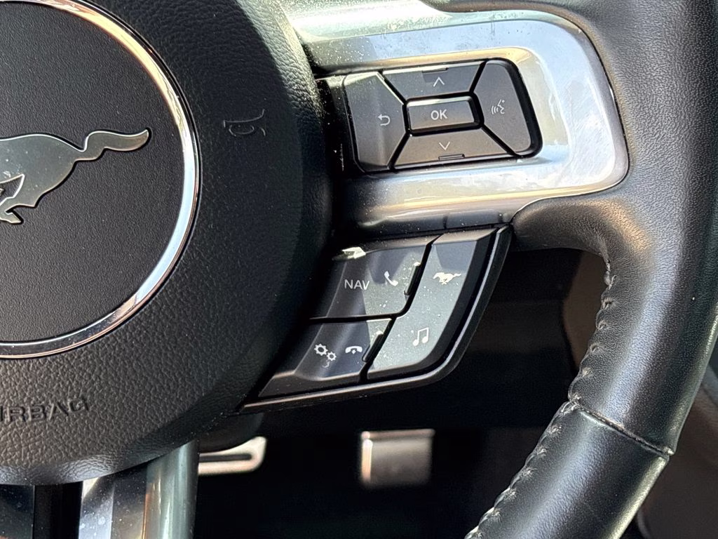 2019 Magnetic Ford Mustang EcoBoost Premium RWD Convertible