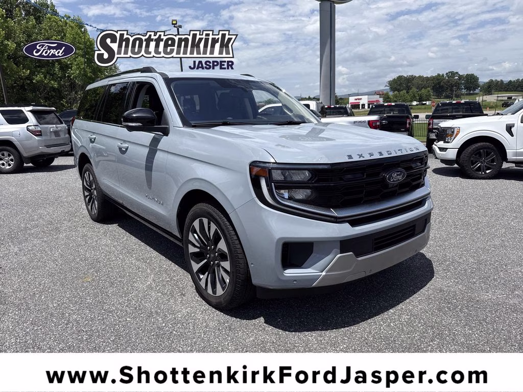 2025 Glacier Gray Metallic TriCoat Ford Expedition Platinum 4X4 SUV