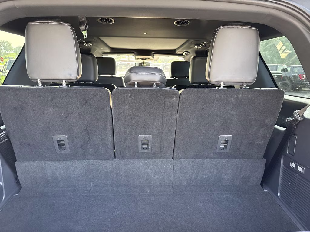2025 Wild Green Ford Expedition Platinum 4X4 SUV