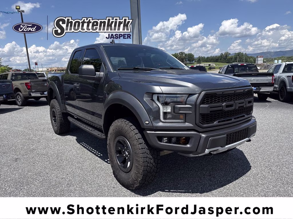 2019 Magnetic Ford F-150 Raptor 4X4 Truck