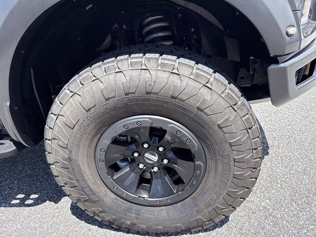 2019 Magnetic Ford F-150 Raptor 4X4 Truck