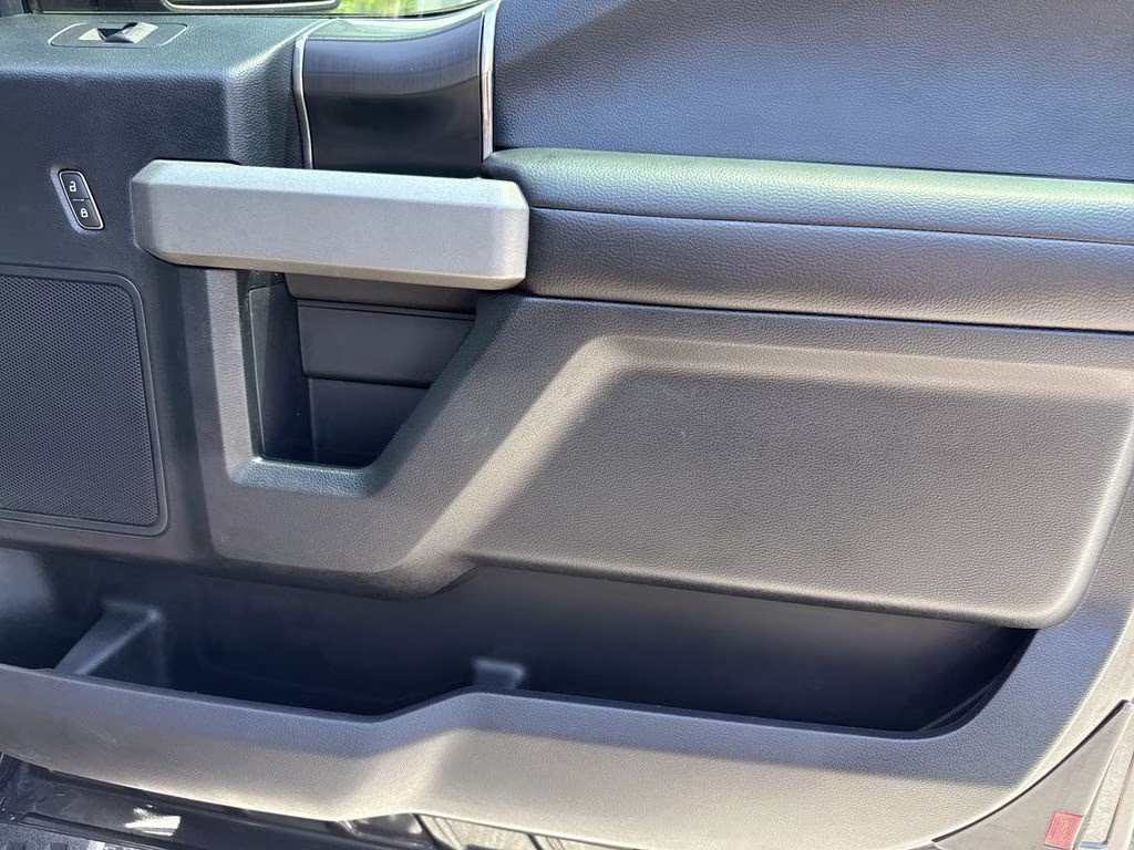 2019 Magnetic Ford F-150 Raptor 4X4 Truck