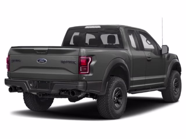 2019 Magnetic Ford F-150 Raptor 4X4 Truck