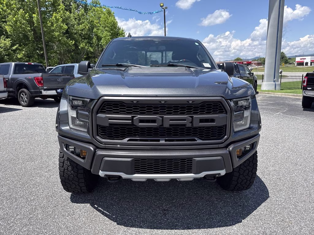 2019 Magnetic Ford F-150 Raptor 4X4 Truck