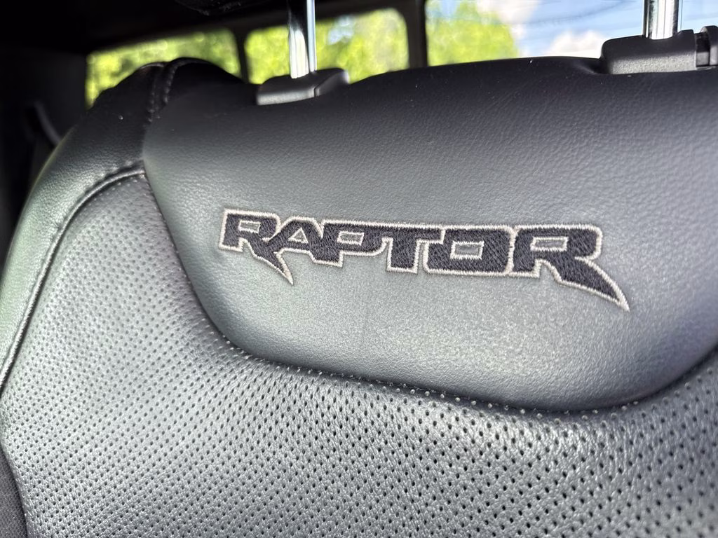 2019 Magnetic Ford F-150 Raptor 4X4 Truck