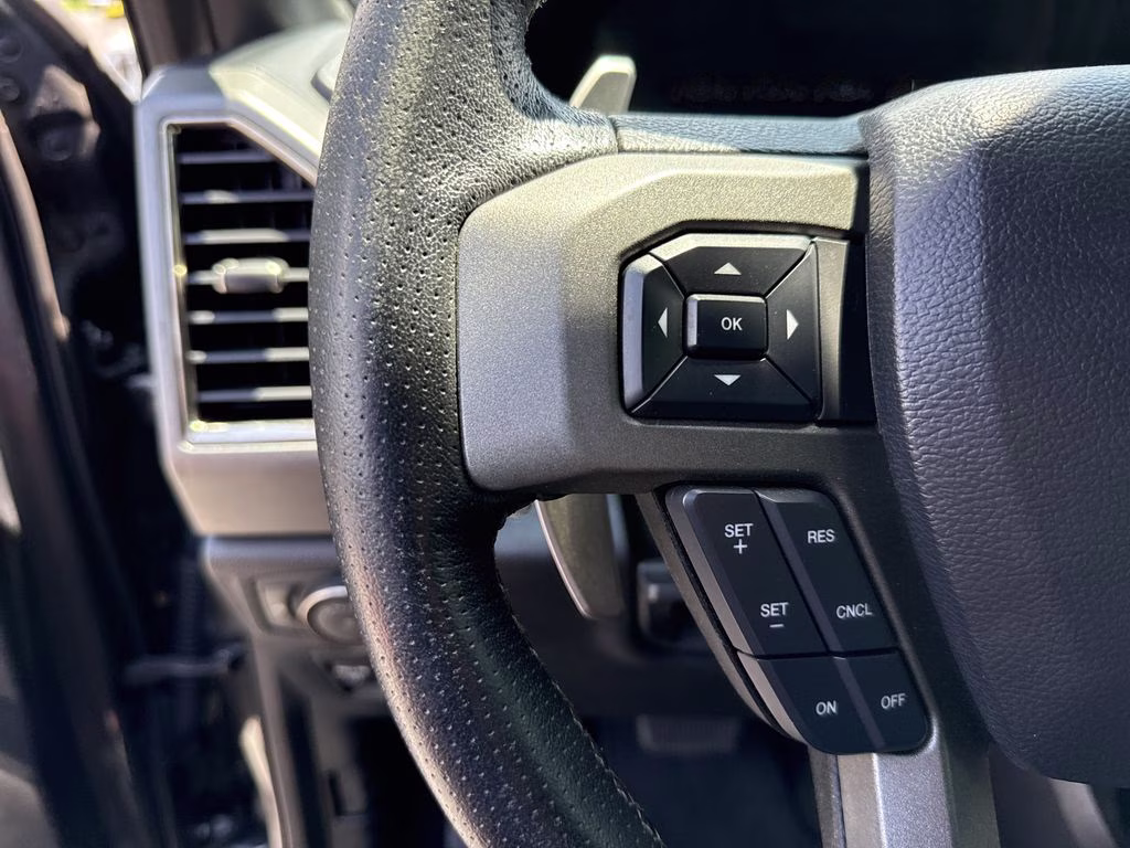 2019 Magnetic Ford F-150 Raptor 4X4 Truck