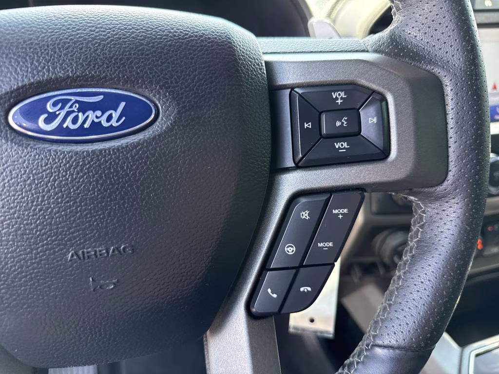 2019 Magnetic Ford F-150 Raptor 4X4 Truck