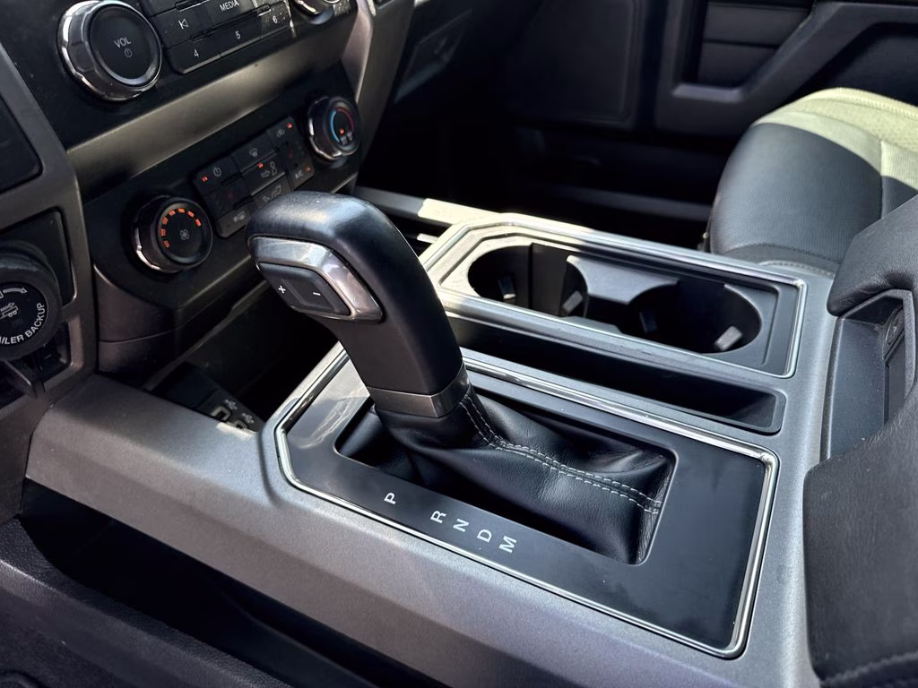 2019 Magnetic Ford F-150 Raptor 4X4 Truck