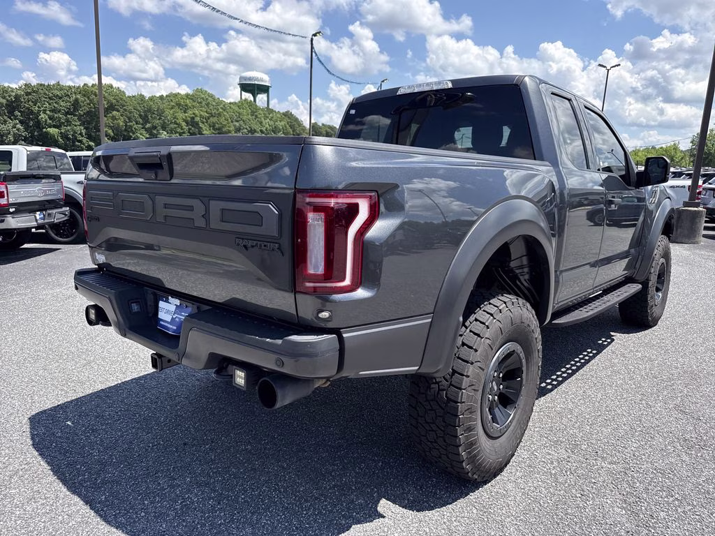 2019 Magnetic Ford F-150 Raptor 4X4 Truck