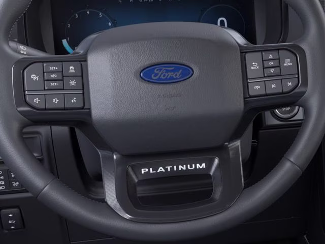 2025 Gray Metallic Ford F-150 Platinum 4X4 Truck