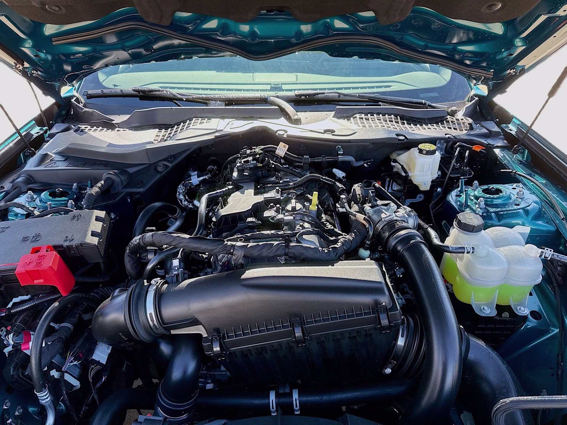 2026 Adriatic Blue Metallic Ford Mustang EcoBoost RWD Coupe