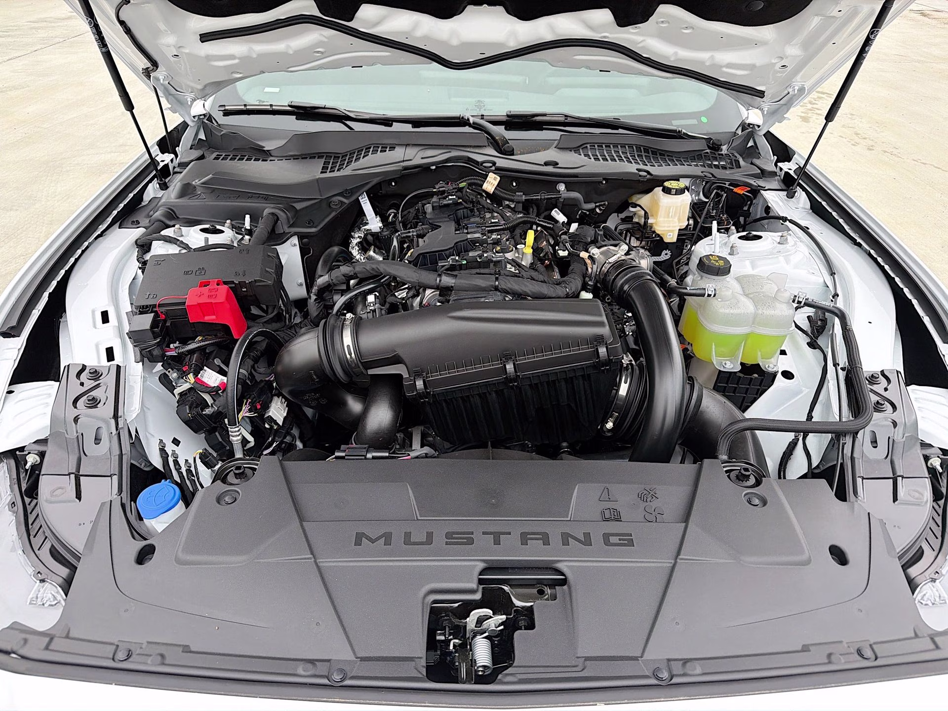 2026 Oxford White Ford Mustang EcoBoost RWD Coupe