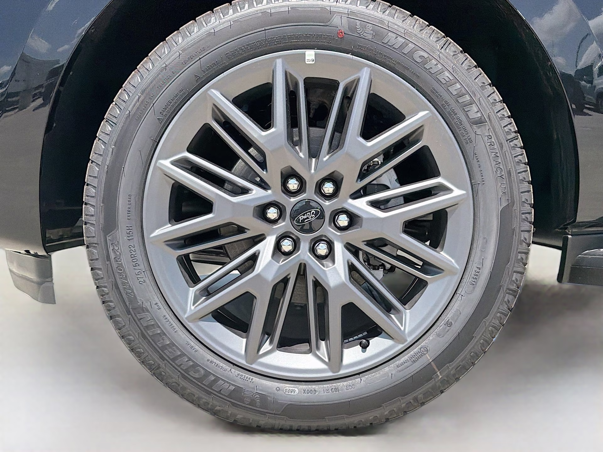 2026 Agate Black Metallic Ford Expedition Platinum 4X4 SUV