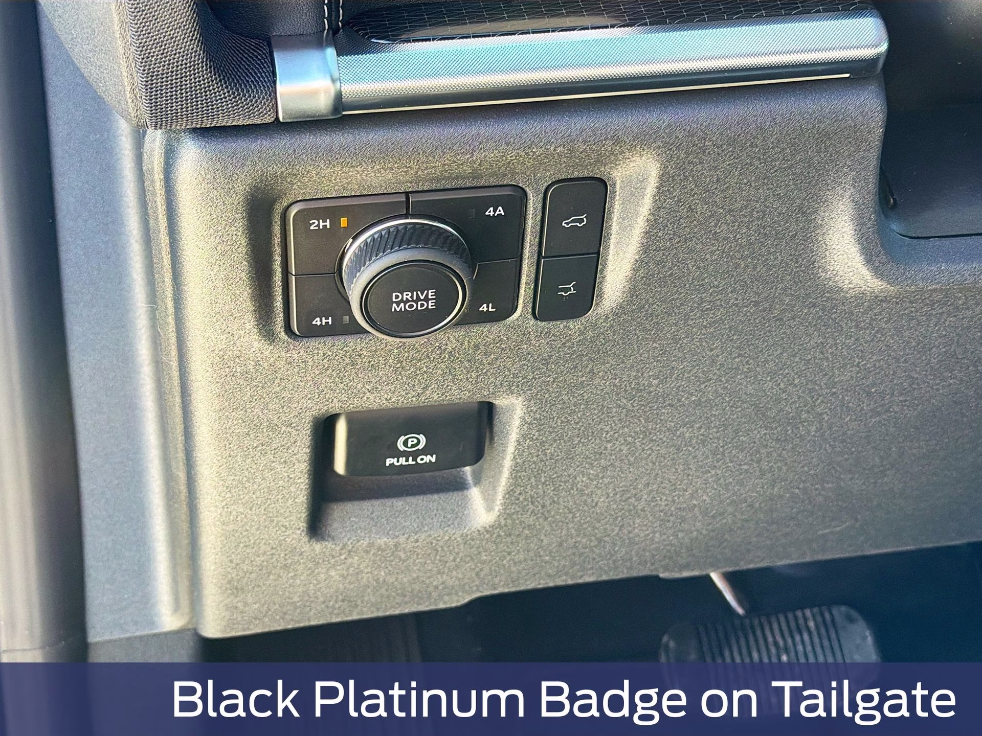 2026 Agate Black Metallic Ford Expedition Platinum 4X4 SUV