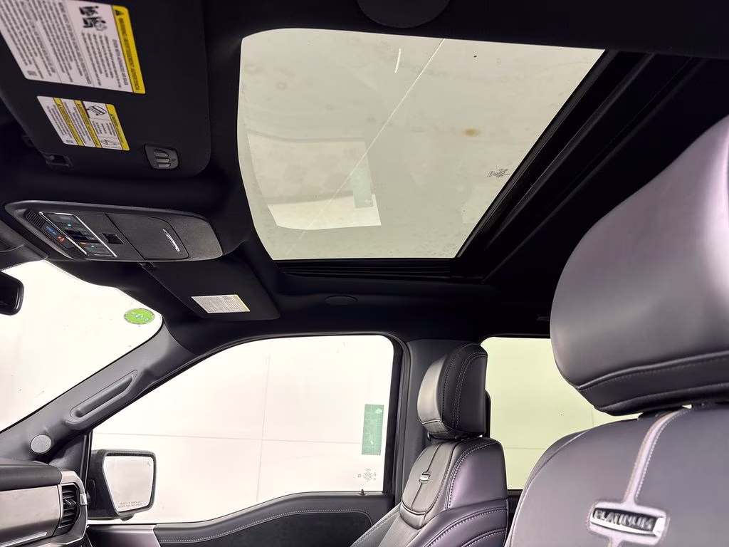 2026 Carbonized Gray Metallic Ford F-150 Platinum 4X4 Truck