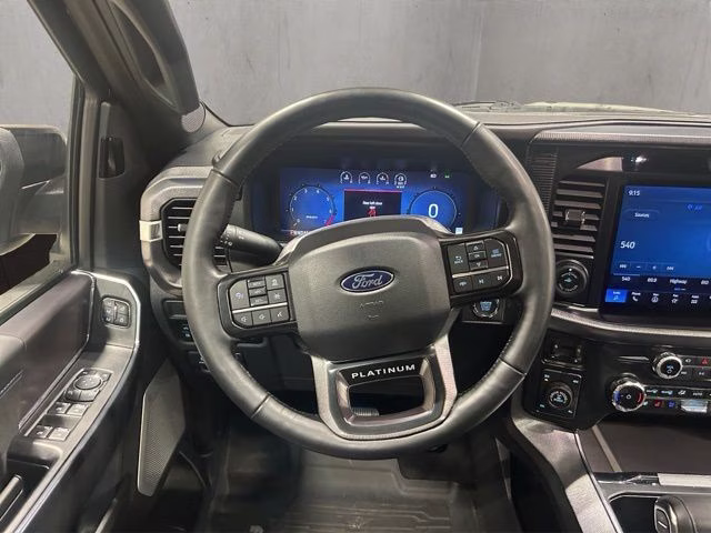 2025 Agate Black Metallic Ford F-150 Platinum 4X4 Truck