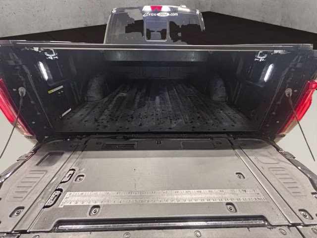 2025 Agate Black Metallic Ford F-150 Platinum 4X4 Truck