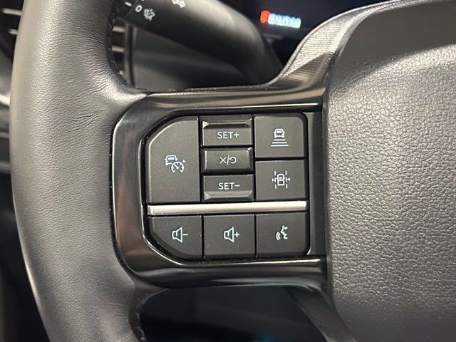 2025 Agate Black Metallic Ford F-150 Platinum 4X4 Truck
