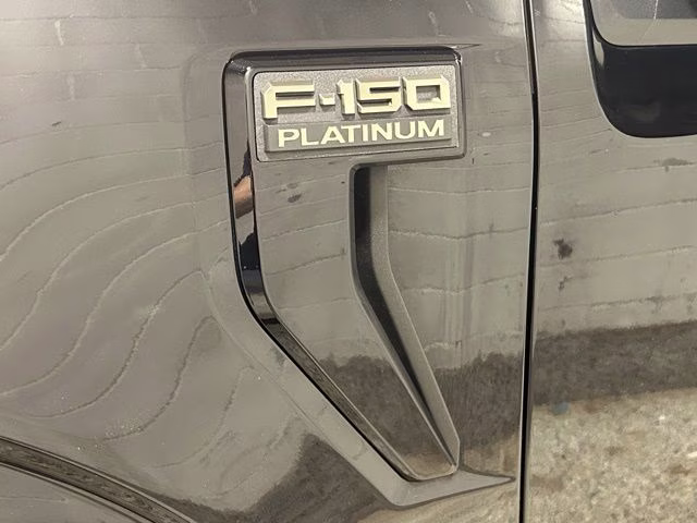 2025 Agate Black Metallic Ford F-150 Platinum 4X4 Truck