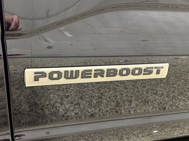 2025 Agate Black Metallic Ford F-150 Platinum 4X4 Truck